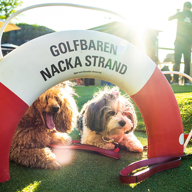 Golfbaren Nacka strand