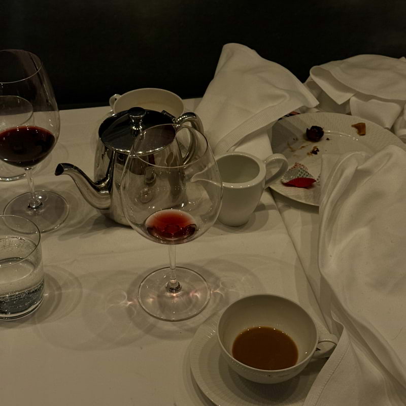 Bild fr&aring;n Gondolen av These&nbsp;S. (2025-12-25)