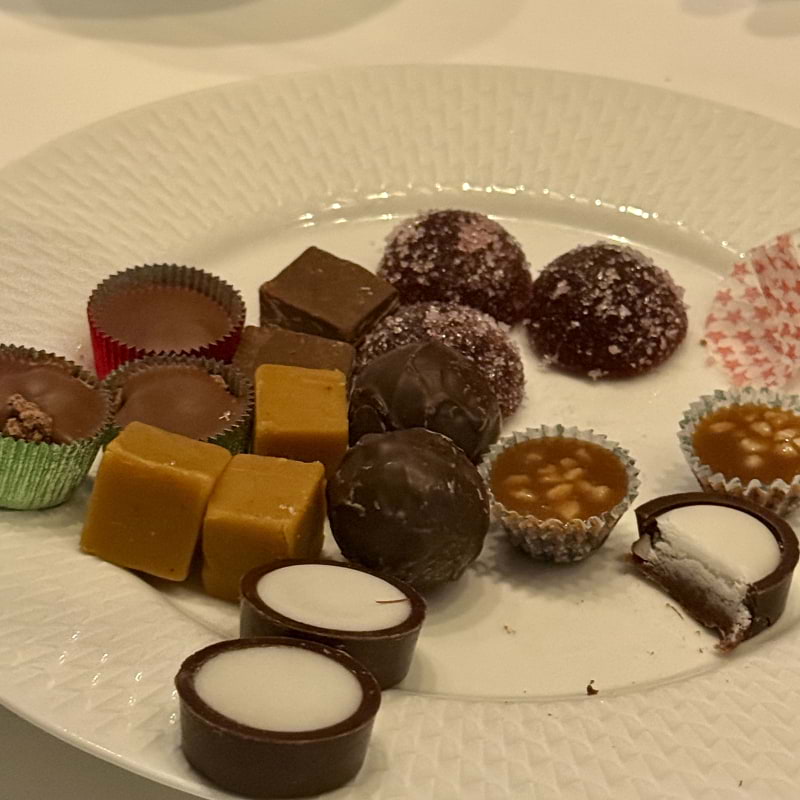 Bild fr&aring;n Gondolen av These&nbsp;S. (2025-12-25)