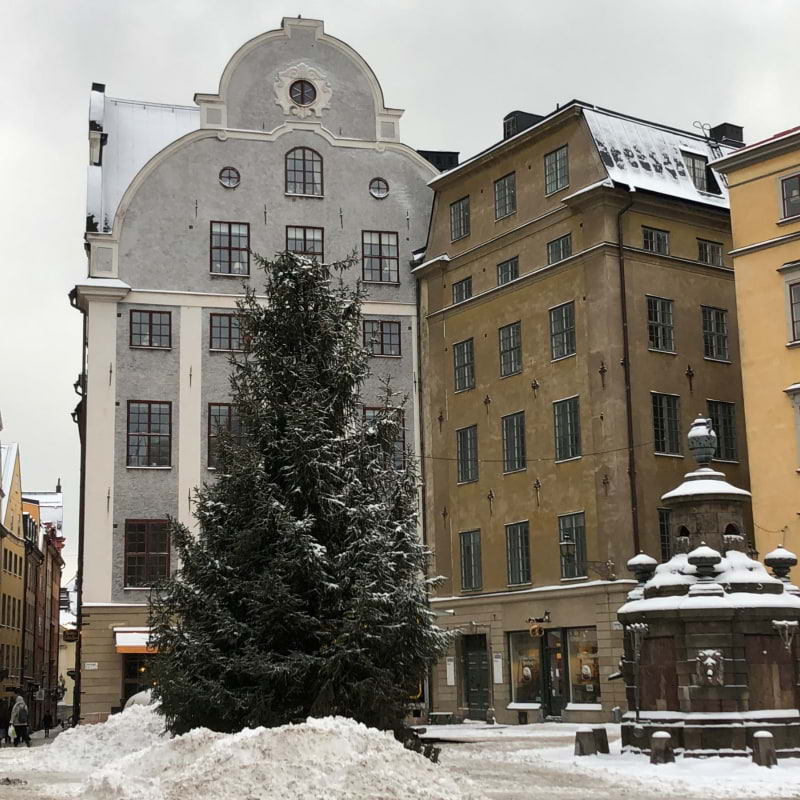 Grillska during winter – Photo from Grillska Huset by Jessica G. (25/07/2023)