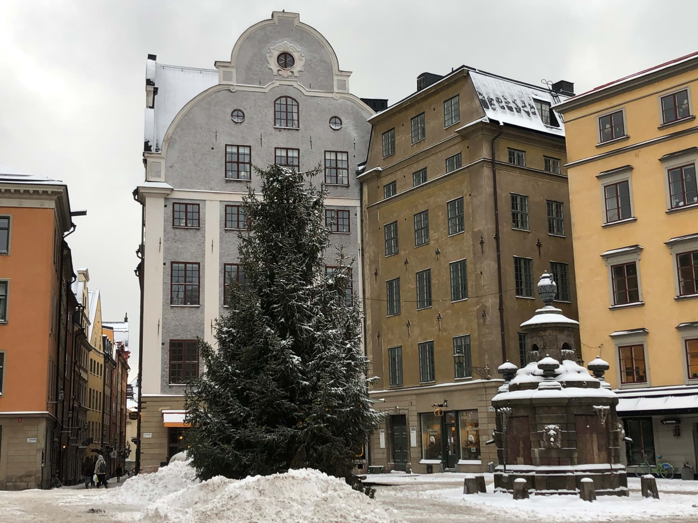 Grillska during winter – Photo from Grillska Huset by Jessica G. (25/07/2023)