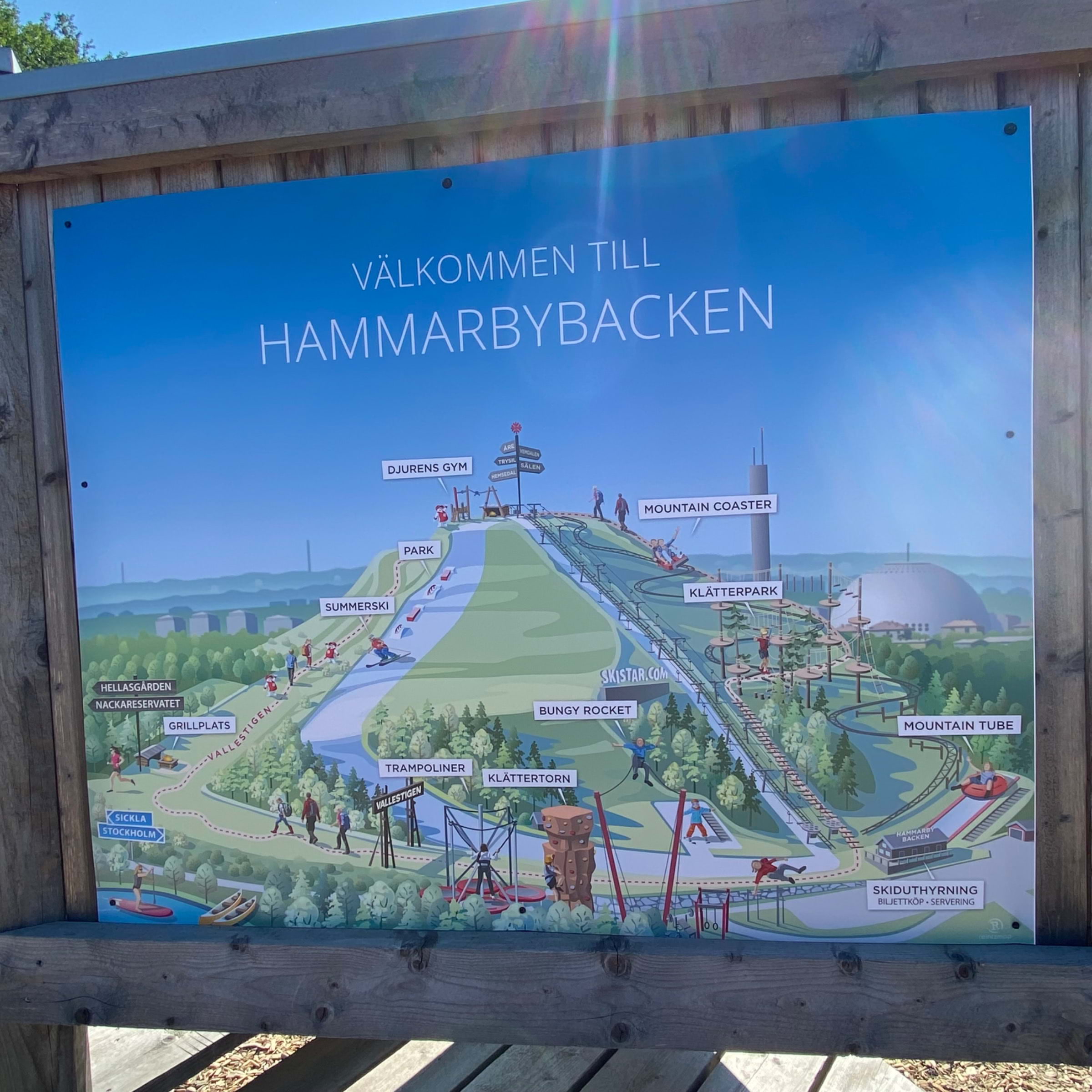 Bild från Hammarby­backen av Peter B. (2024-07-21)