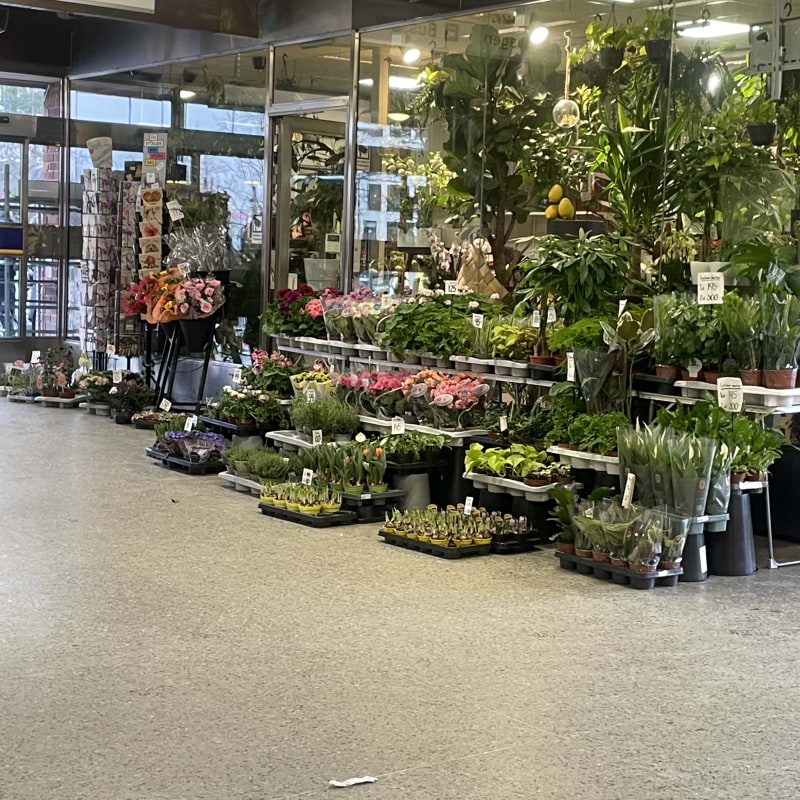 Photo from Interflora Axxent blommor by Mimmi S. (13/03/2025)