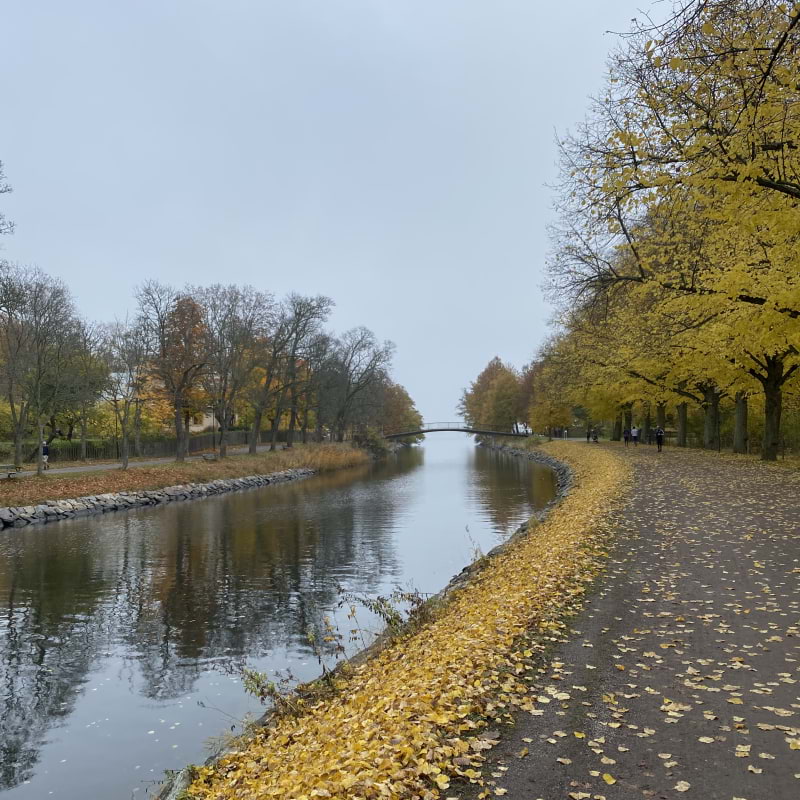 Bild från Kungliga Djurgården av Hedvig A. (2024-10-27)