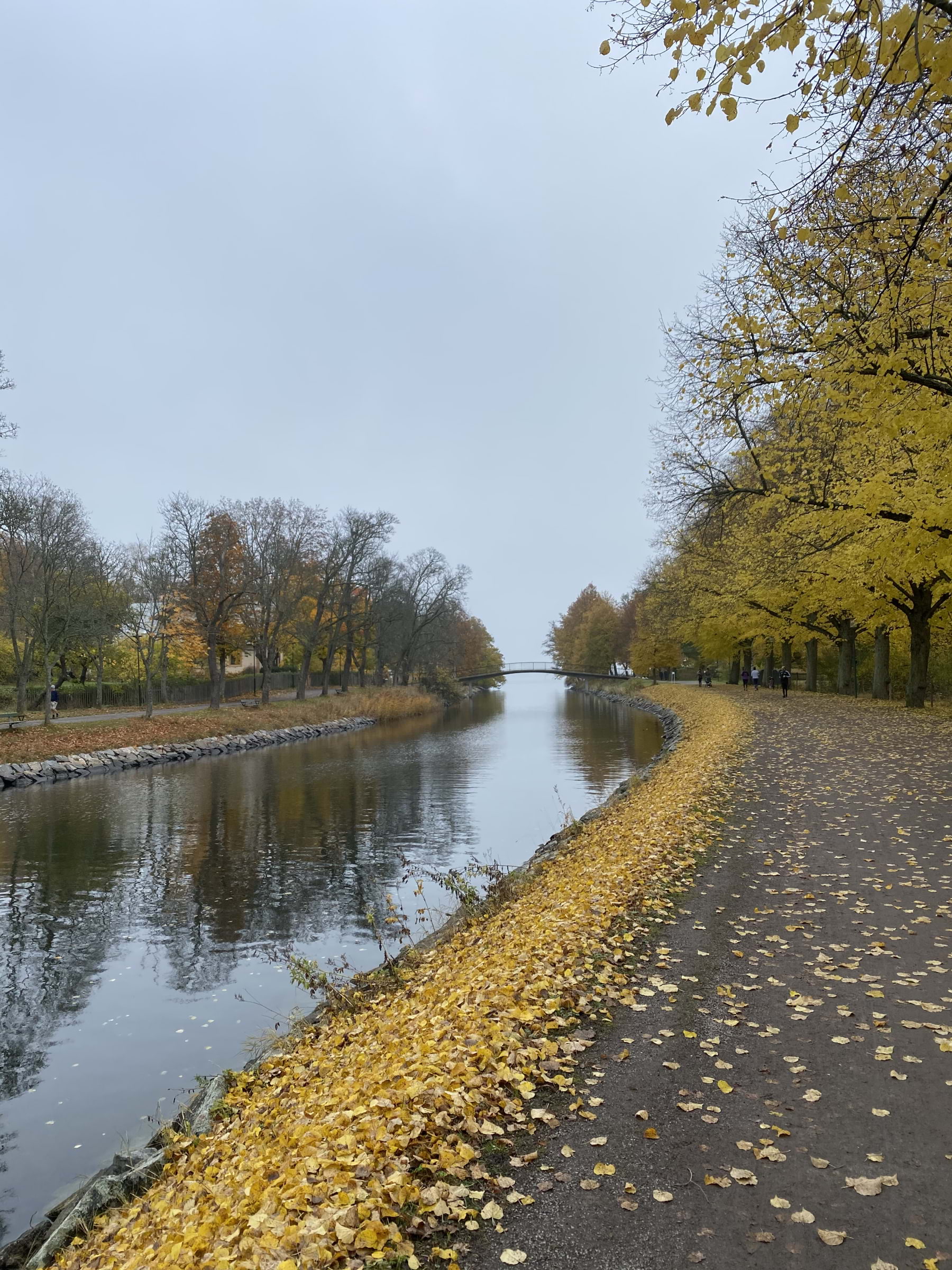 Bild från Kungliga Djurgården av Hedvig A. (2024-10-27)