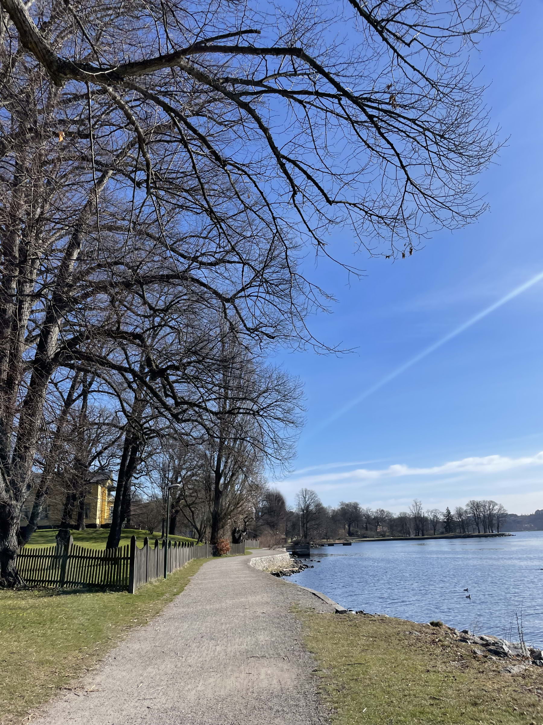 Bild från Kungliga Djurgården av Teolinda L. (2025-04-01)