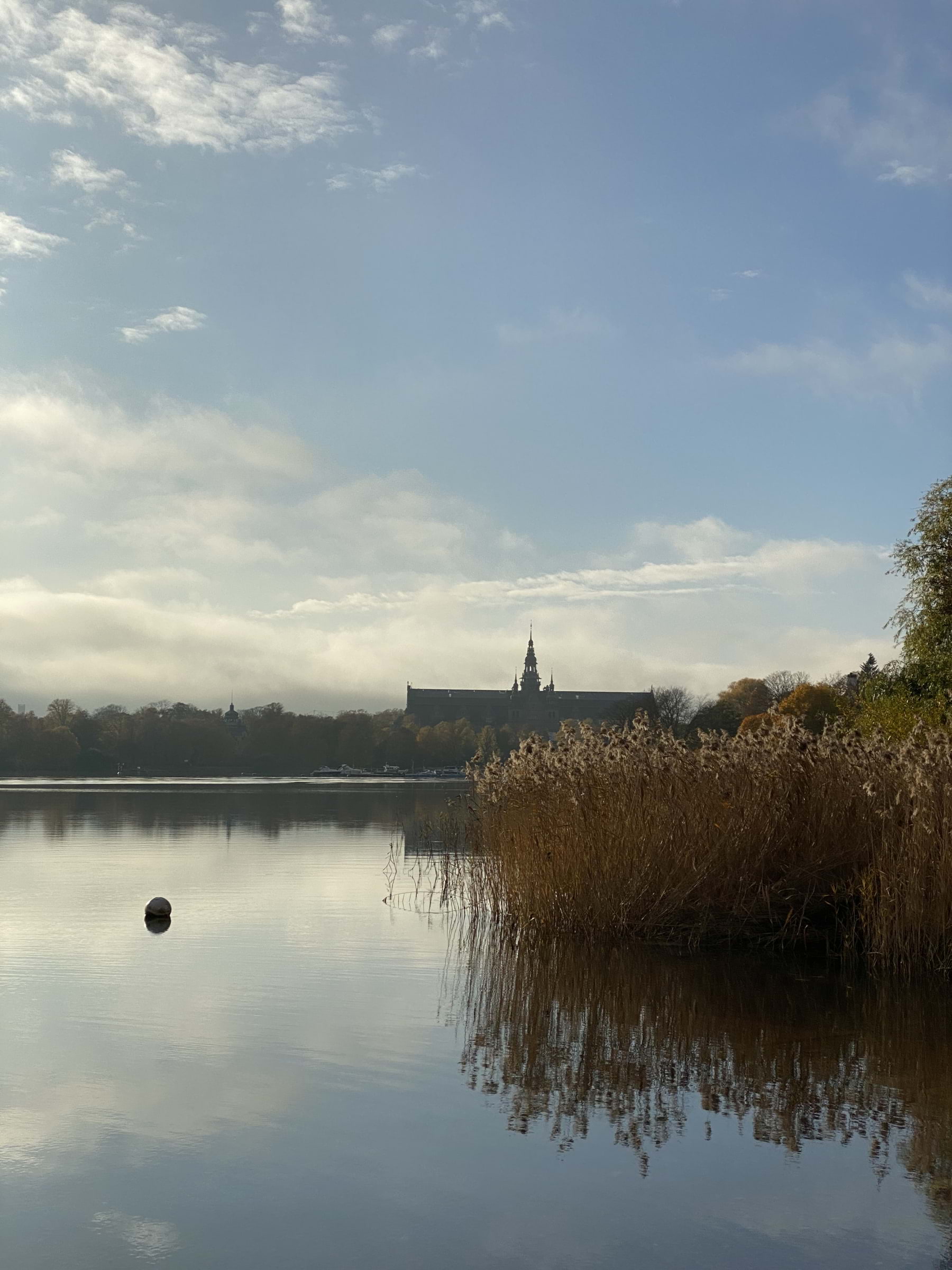 Bild från Kungliga Djurgården av Hedvig A. (2024-10-27)