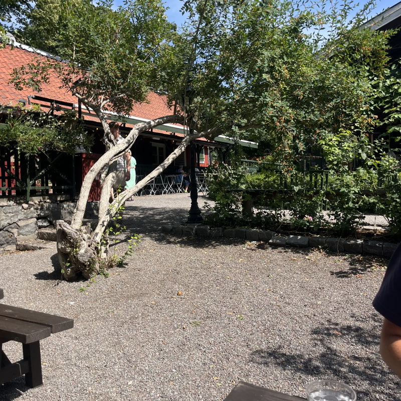 Bild fr&aring;n Lasse i Parken av Moa&nbsp;L. (2026-07-16)