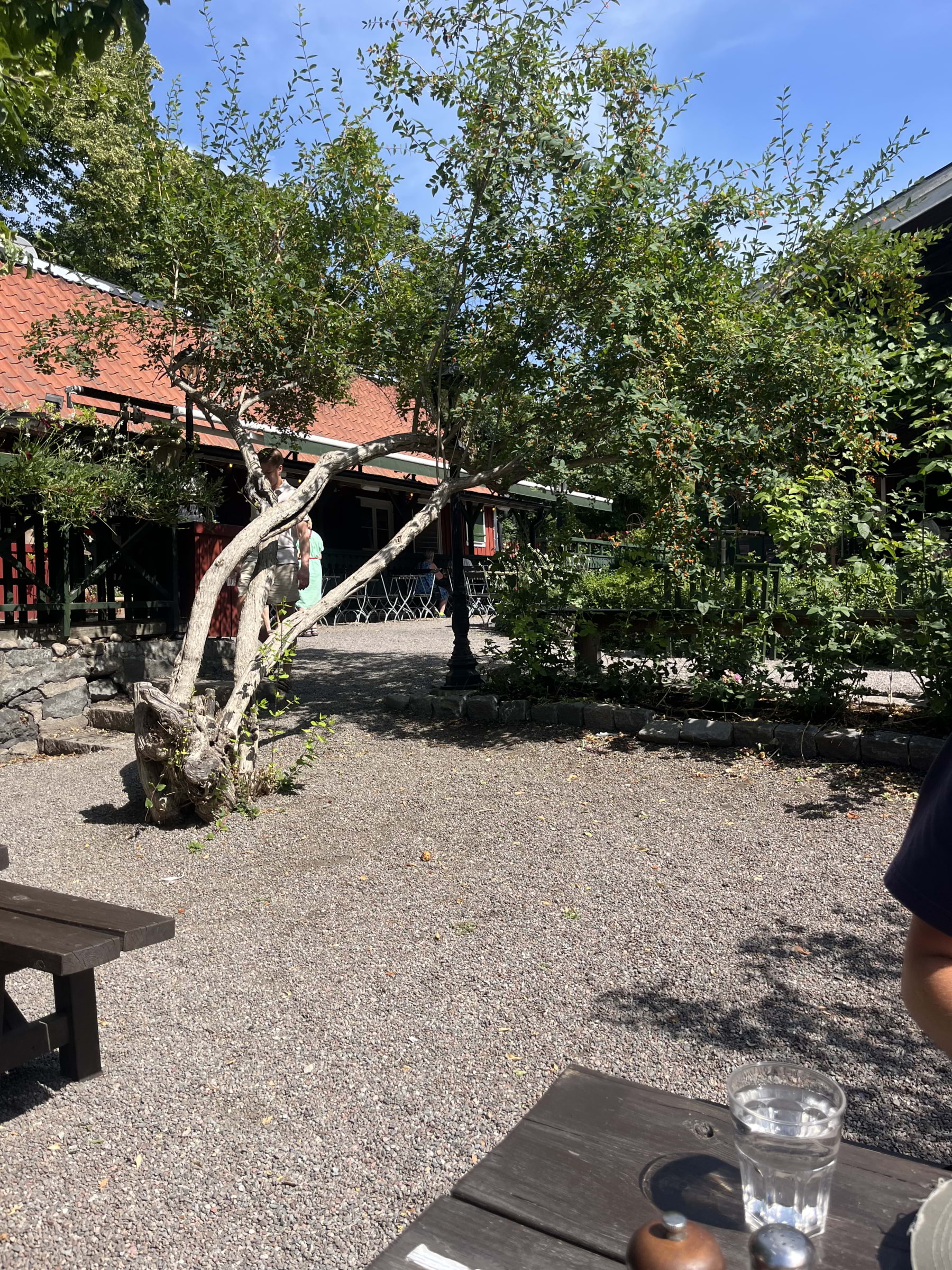 Bild från Lasse i Parken av Moa L. (2026-07-16)