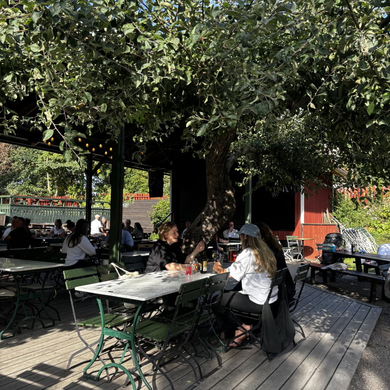Billede fra Lasse i Parken af Lisa&nbsp;M. (14.08.2026)
