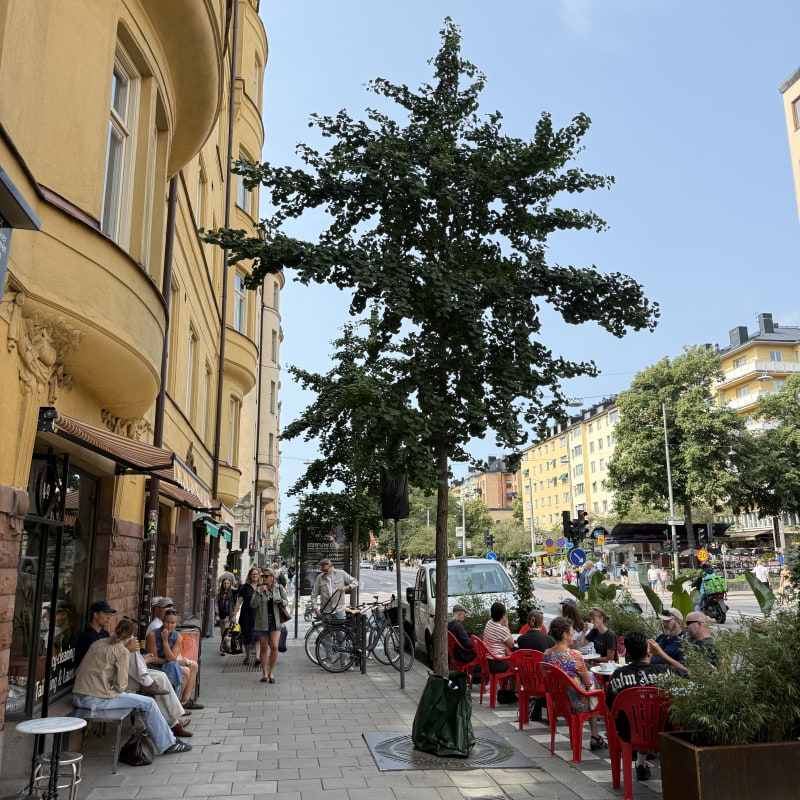 Photo from Lilla Espresso Bar by Gabrielle R. (09/08/2025)