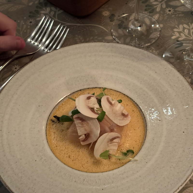 Havskräfta – Bild från Lilla Ego av Jessica K. (2025-11-23)