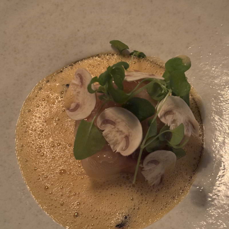 Bild fr&aring;n Lilla Ego av Hanna&nbsp;V. (2026-03-27)