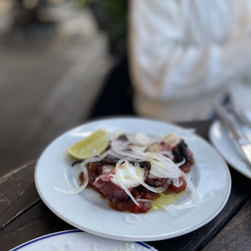 Bild från Måsen av Evelina P. (2025-11-26)