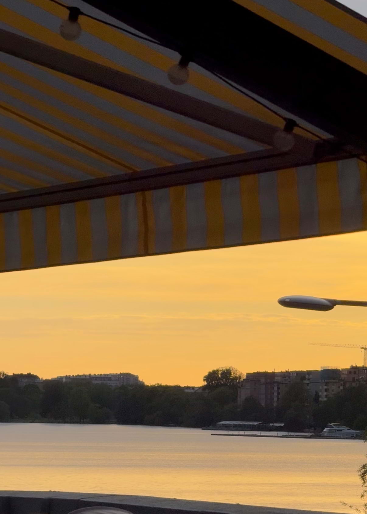 Bild från Måsen av Gabrielle R. (2025-06-12)