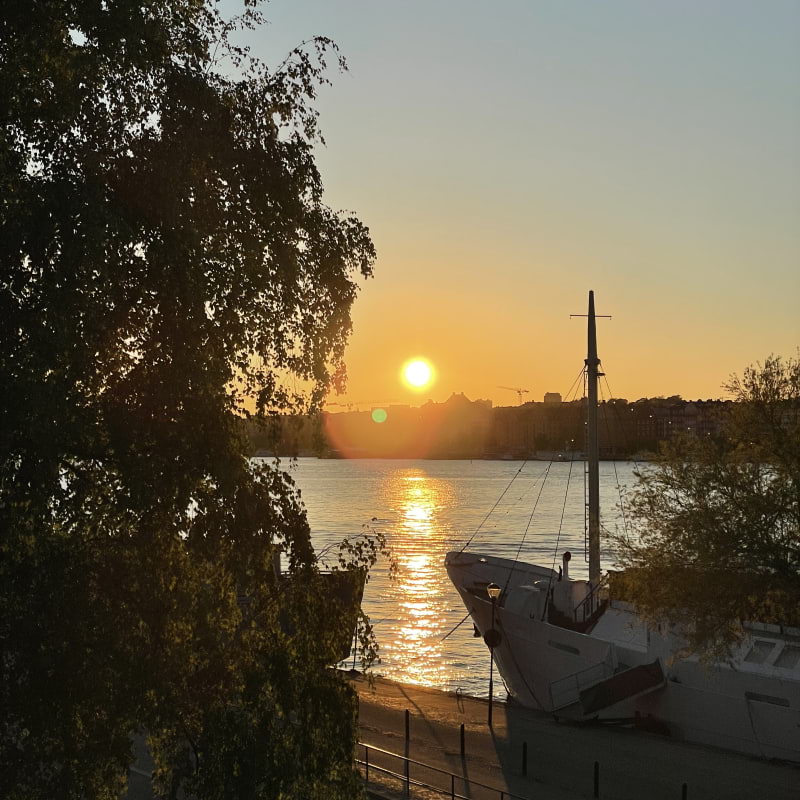 Bild från Måsen av Evelina P. (2025-11-26)