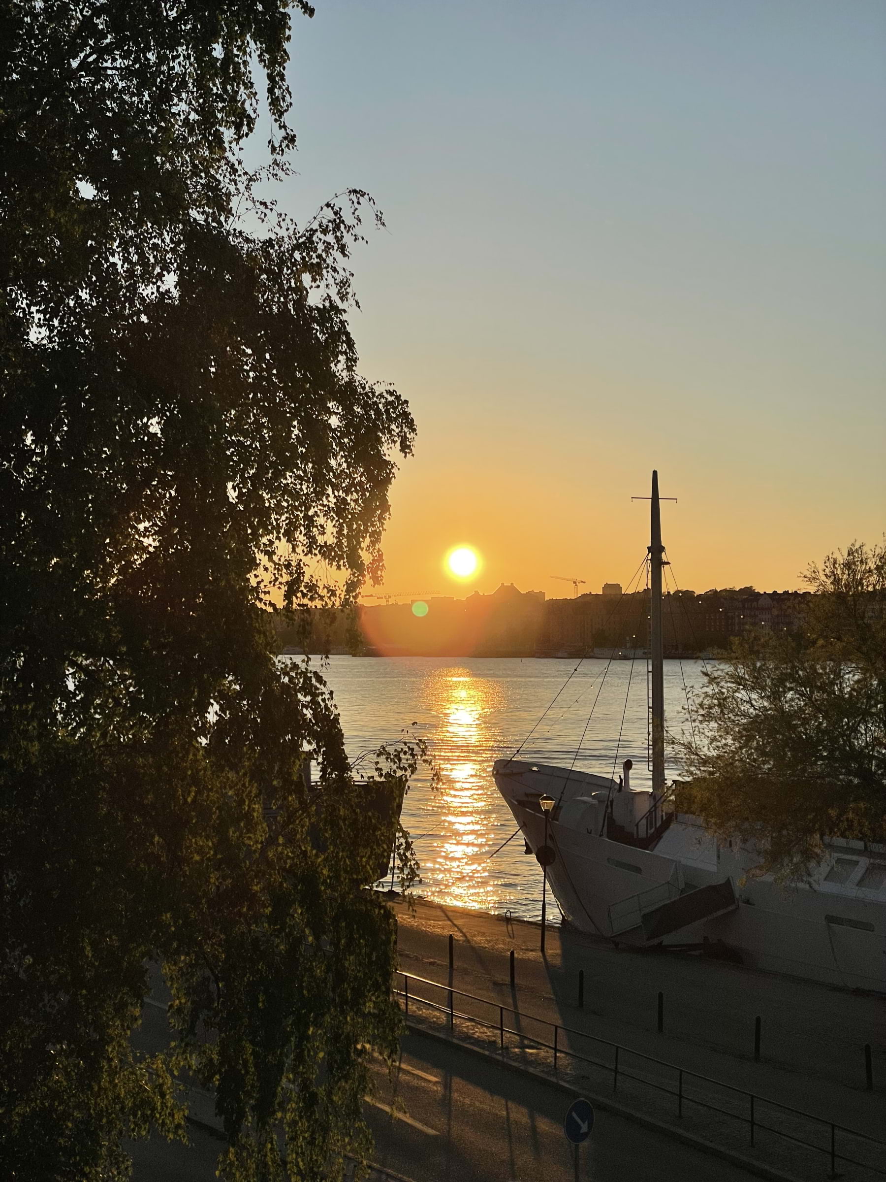 Bild från Måsen av Evelina P. (2025-11-26)