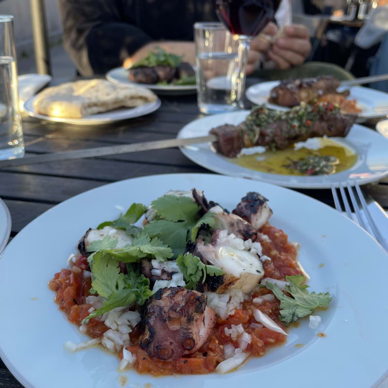 Bild från Måsen av Evelina P. (2025-11-26)