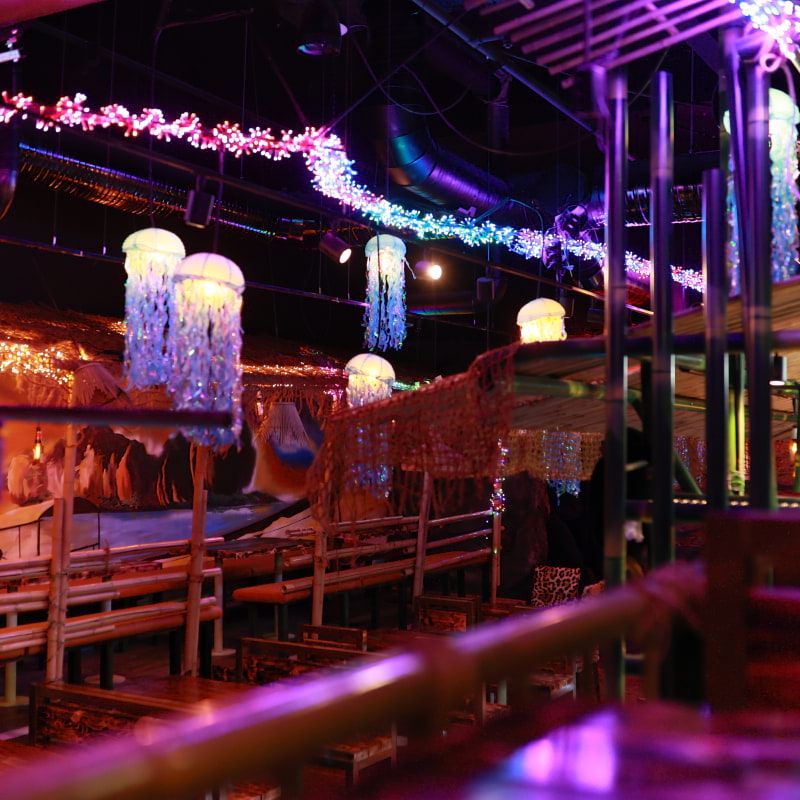 Photo from Mae Thai River by Shahzad&nbsp;A. (09/02/2026)