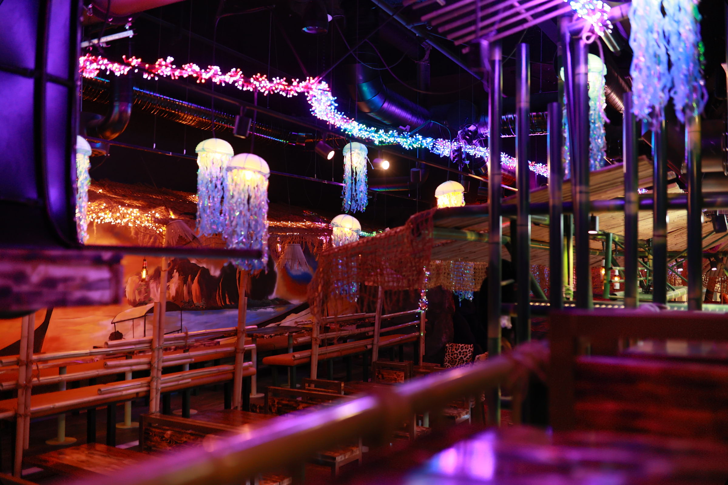 Photo from Mae Thai River by Shahzad A. (09/02/2026)