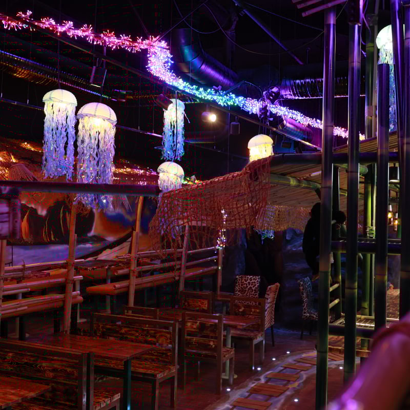 Photo from Mae Thai River by Shahzad A. (09/02/2026)