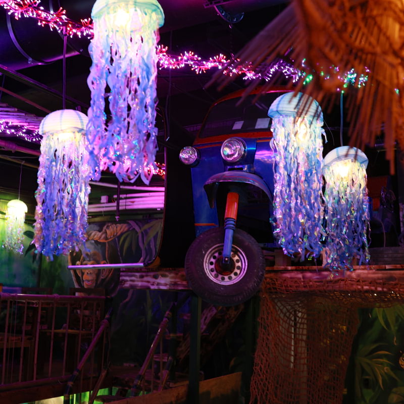 Photo from Mae Thai River by Shahzad A. (09/02/2026)