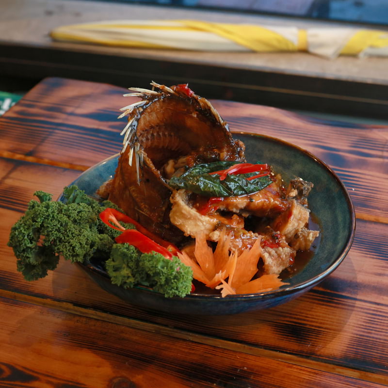 Pad Cha – Photo from Mae Thai River by Shahzad A. (09/02/2026)