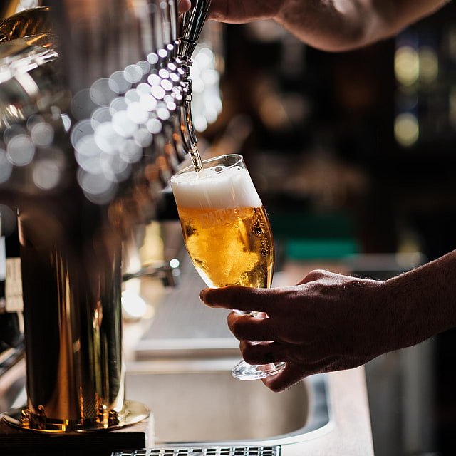 Molly Malone's S&ouml;dermalm