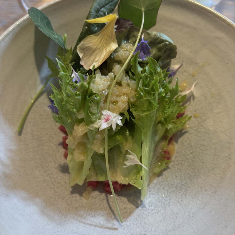 Photo from Nisch by Åsa E. (03/08/2025)