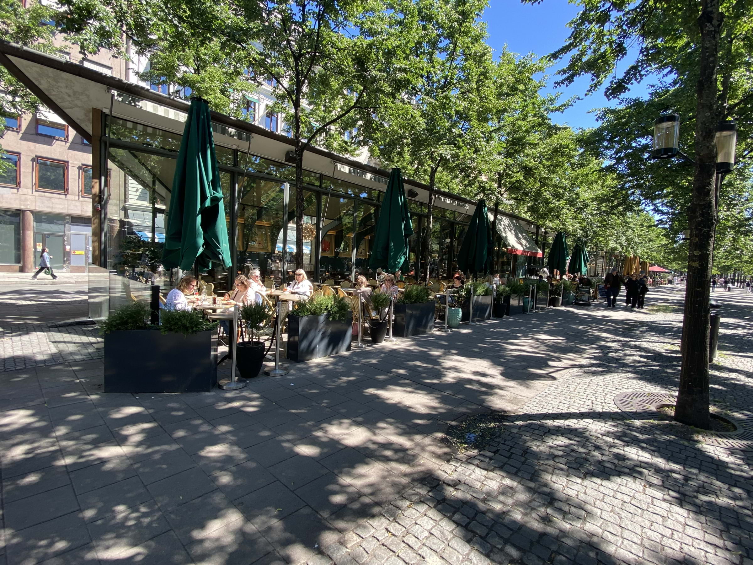 Bild från Non Solo Bar Kungsträdgården av Peter B. (2026-06-17)