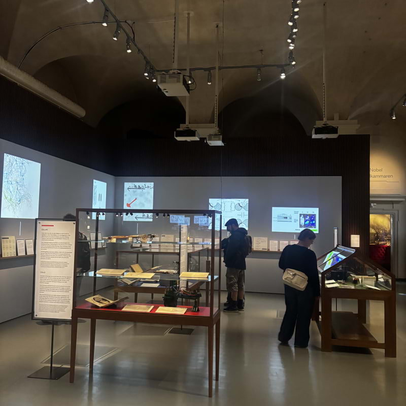 Bild fr&aring;n Nobel Prize Museum av Lisa&nbsp;M. (2026-07-20)