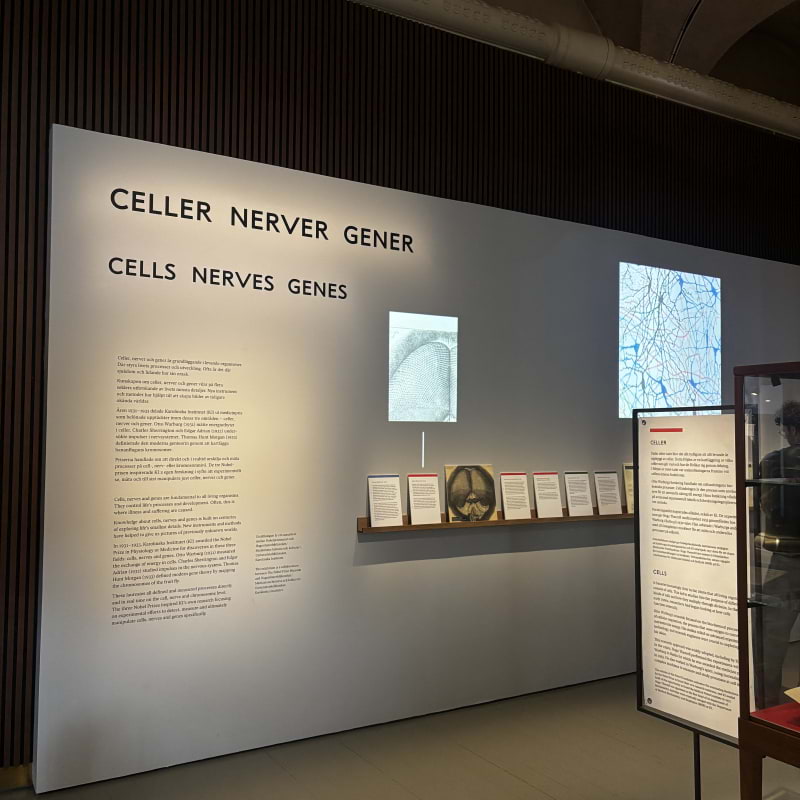 Bild fr&aring;n Nobel Prize Museum av Lisa&nbsp;M. (2026-07-20)