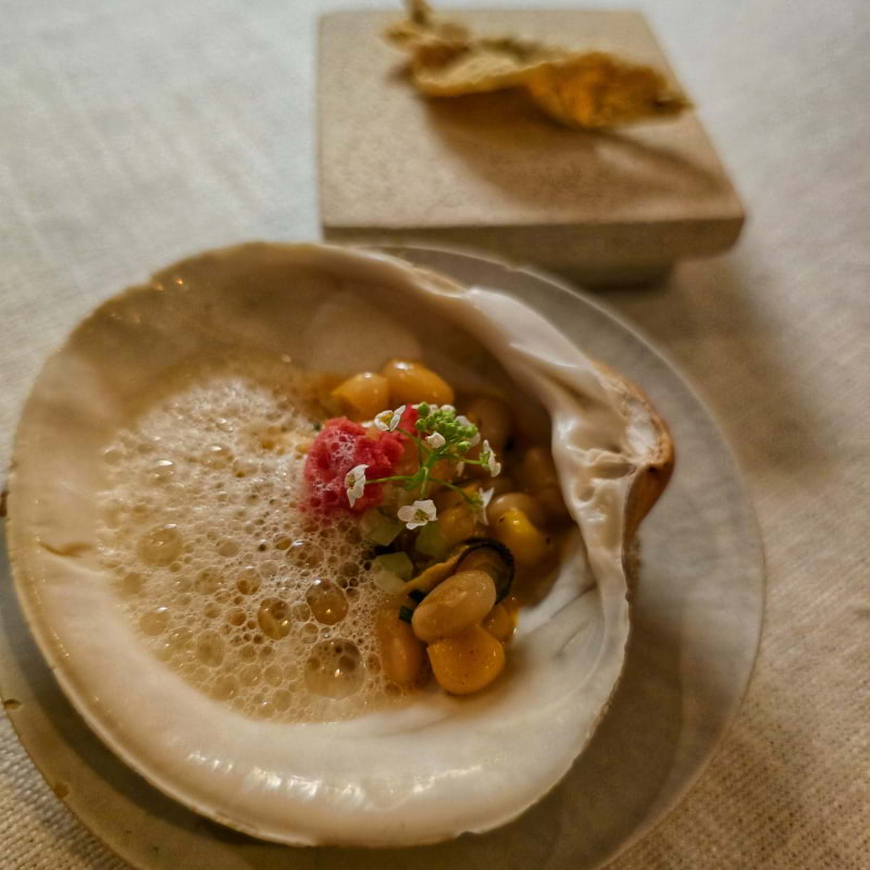 Photo from Nour by Cecilia S. (16/10/2025)