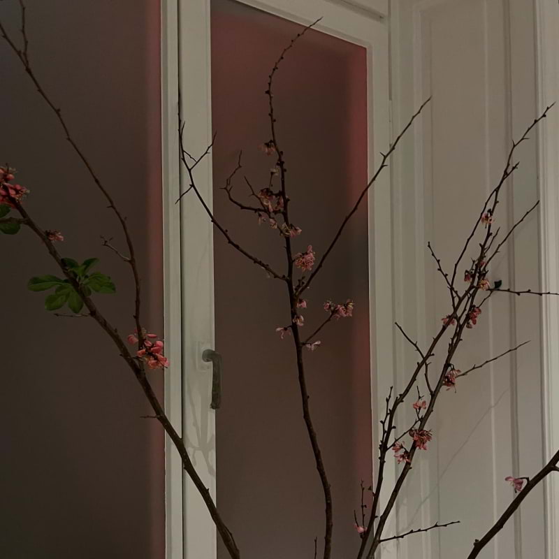 Photo from Nour by Åsa E. (03/08/2025)