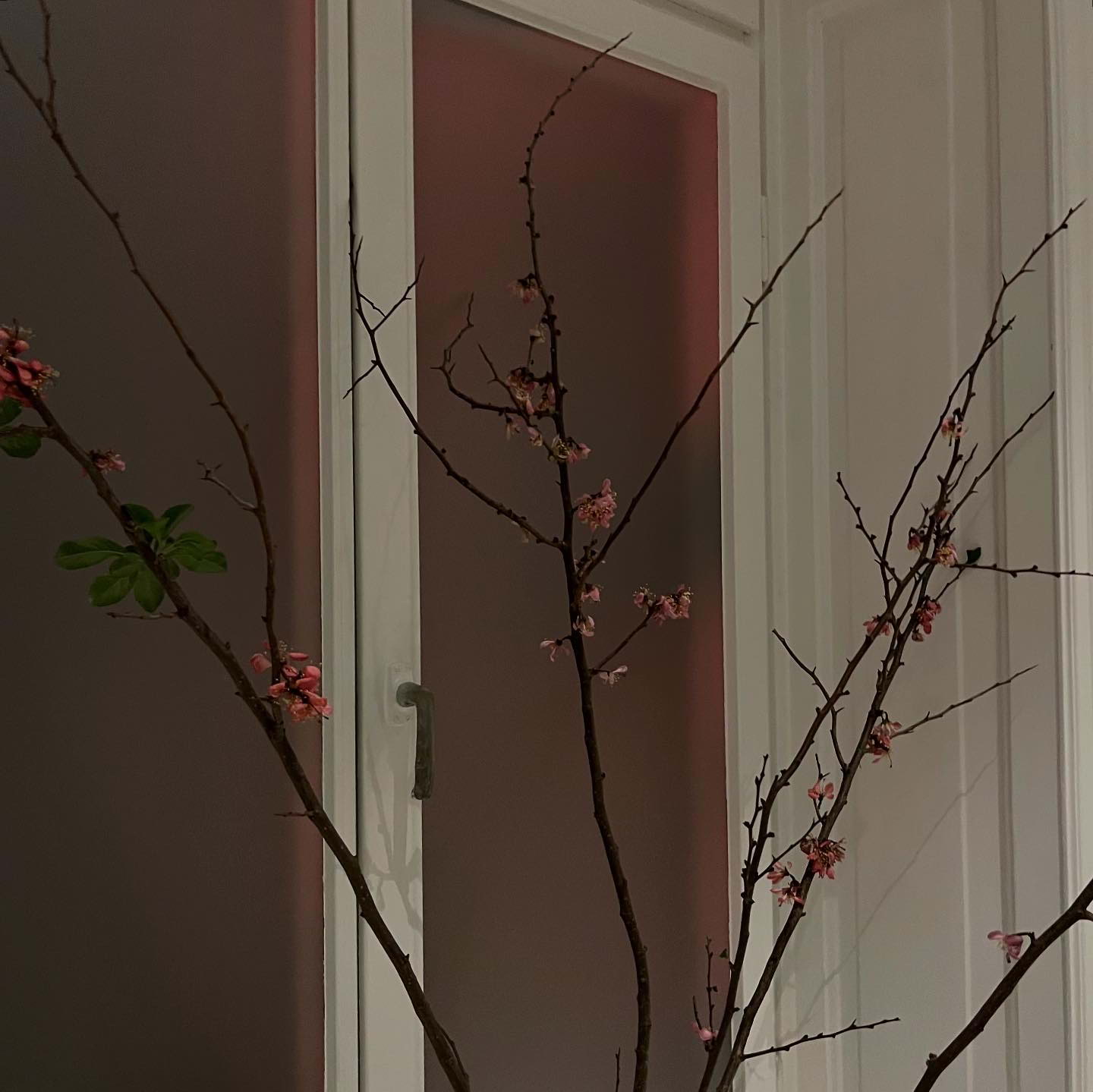 Photo from Nour by Åsa E. (03/08/2025)