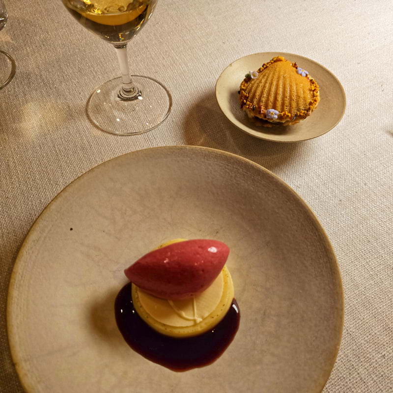 Photo from Nour by Cecilia S. (16/10/2025)