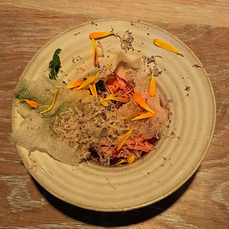 Photo from Nour by Åsa E. (03/08/2025)