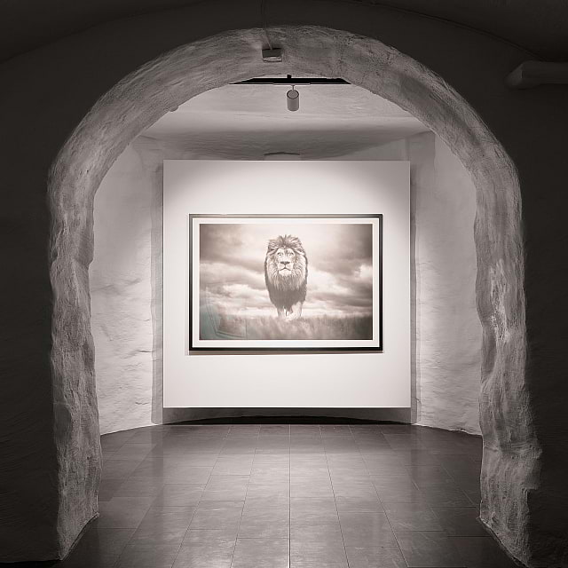 Picture This Gallery