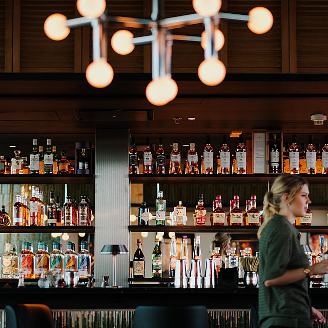 Rex Bar