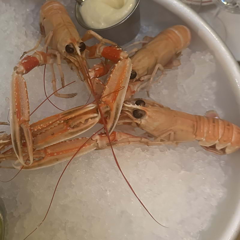 Bild från Rolfs Hav av Fredrik J. (2025-09-02)