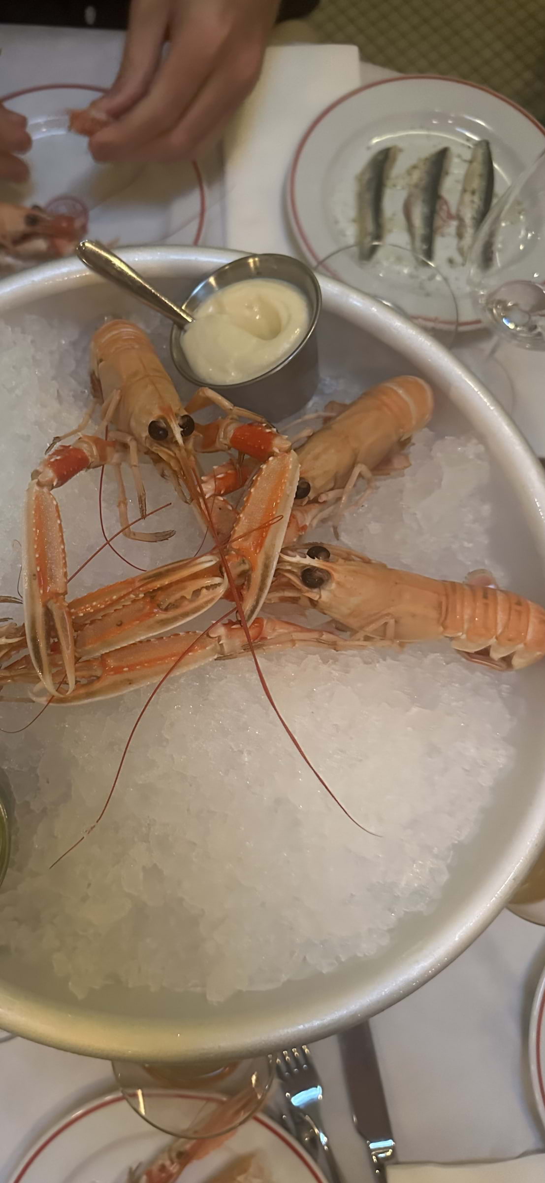 Bild från Rolfs Hav av Fredrik J. (2025-09-02)