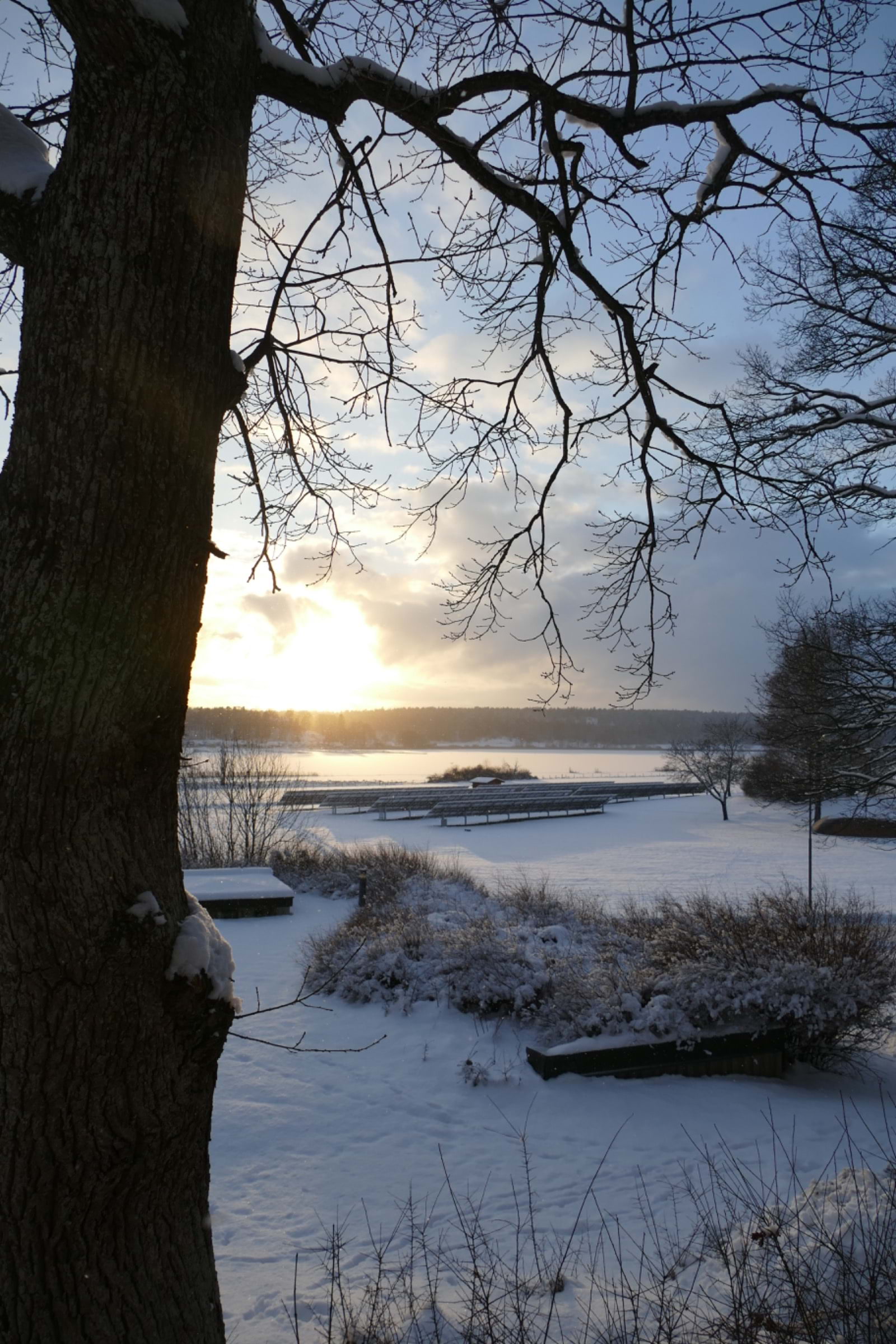 Solcellerna på rad och ändå smälter det in i naturen väl! – Photo from Runö Möten & Events by Anna L. (29/02/2024)