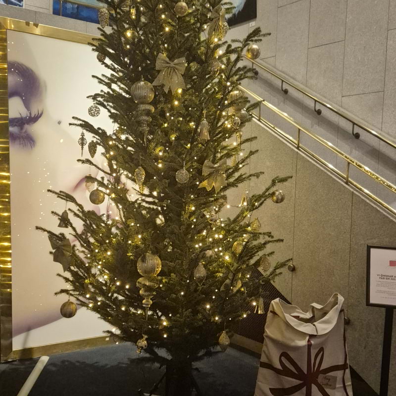 Photo from Scandic Anglais by Clemens&nbsp;N. (20/12/2025)