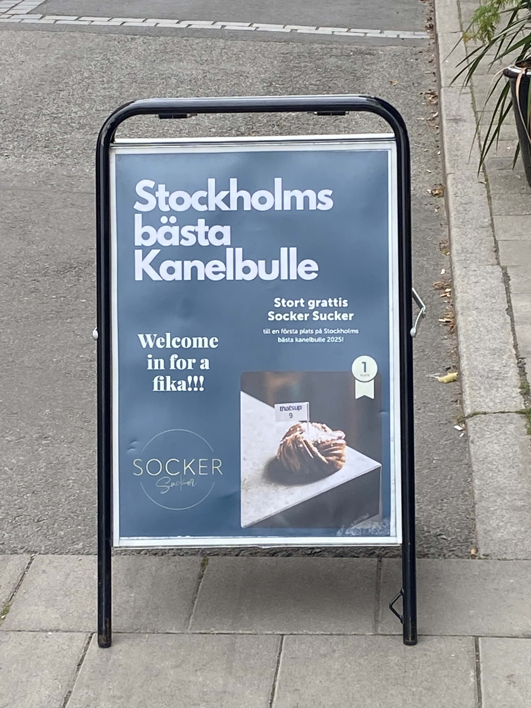 Photo from Socker Sucker by Peter B. (27/11/2025)