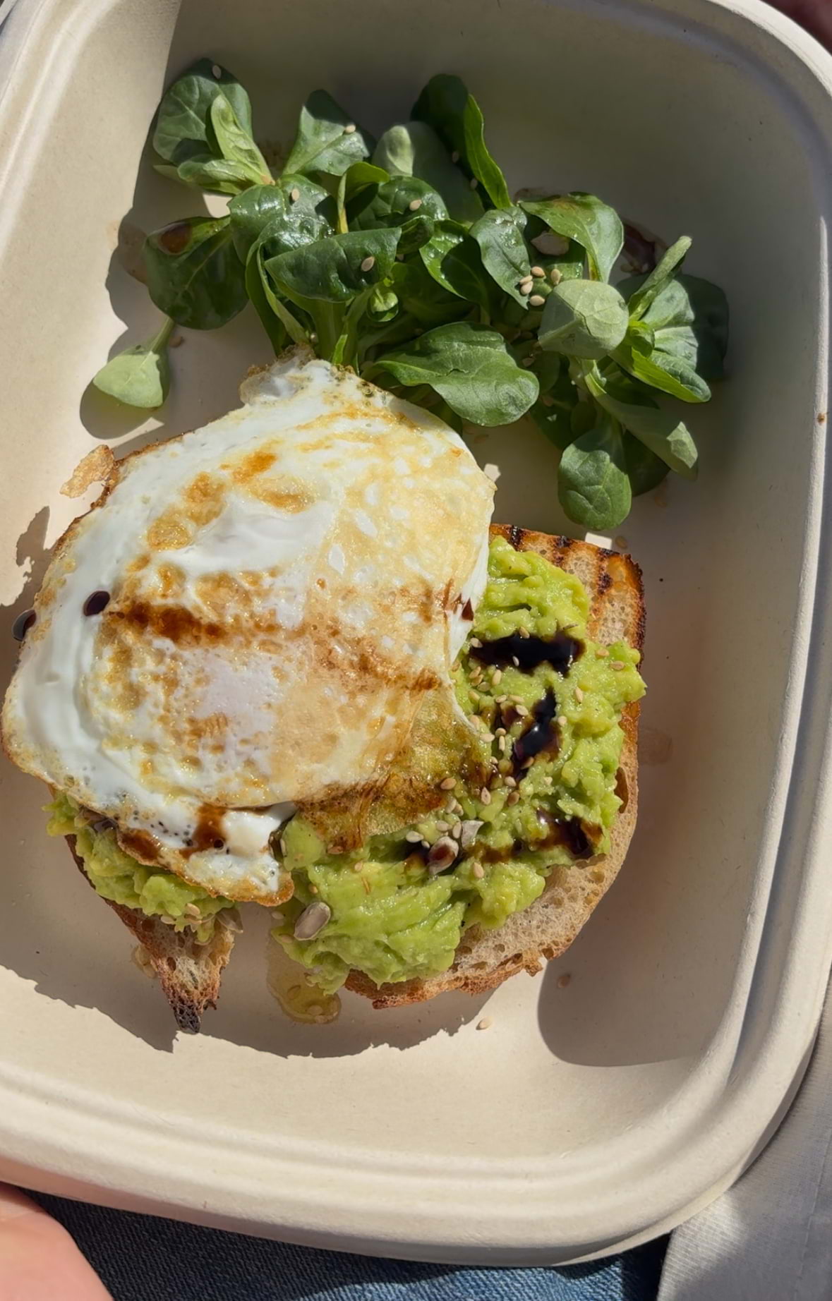 Avo-toast – Bild från Spiral Cafe av Jessica K. (2025-04-27)