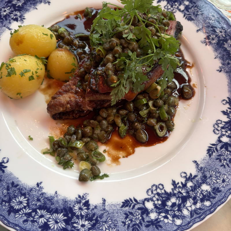 Kalvlever anglais – Photo from Tennstopet by Sofie L. (20/08/2025)