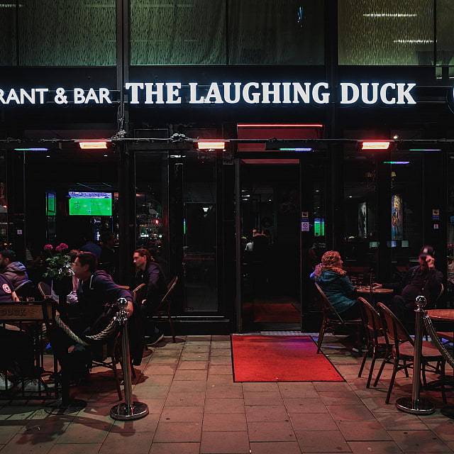 The Laughing Duck