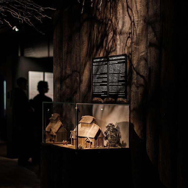 The Viking Museum