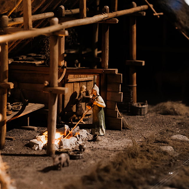 The Viking Museum