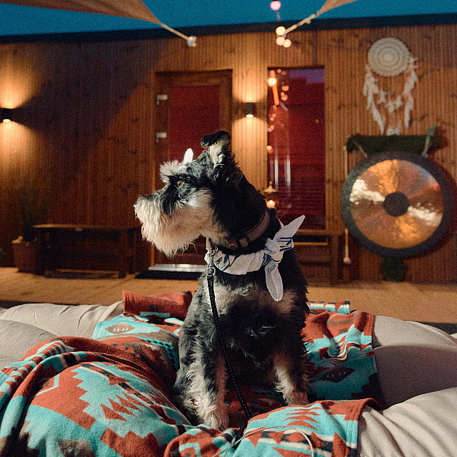 Thatsup Event: Sacred Sauna